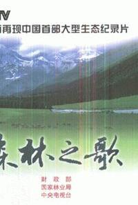 森林之歌