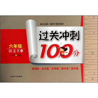 过关冲刺100分：语文（六年级下）（RJ）