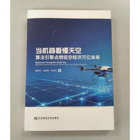 当机器看懂天空:算法引擎点燃低空经济万亿未来