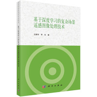 基于深度学习的复杂场景遥感图像处理技术