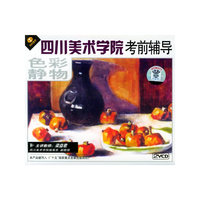 四川美术学院教前辅导色彩静物(2VCD)