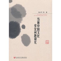 当前中国文化安全问题研究