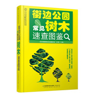 街边公园常见树木速查图鉴（汉竹）