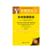 非洲发展报告No.19（2016~2017）