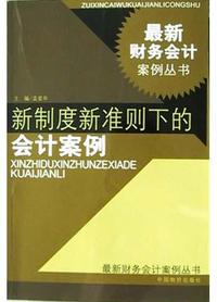 新制度新准则下的会计案例