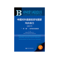 2017-中国对外直接投资与国家风险报告-一带一路:海外建设新版图-对外投资与风险蓝皮书-2017版