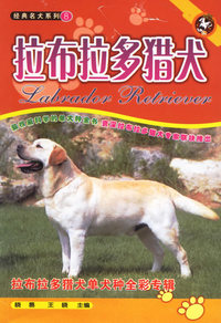 拉布拉多猎犬
