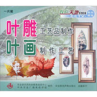 叶雕工艺品制作、叶画制作工艺（VCD）