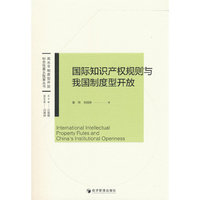 国际知识产权规则与我国制度型开放