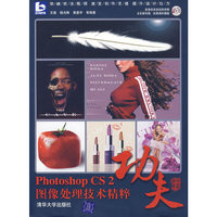 功夫:Photoshop CS2图像处理技术精粹