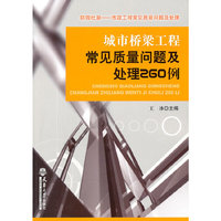 城市桥梁工程常见质量问题及处理300例