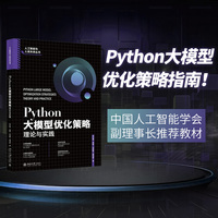 Python大模型优化策略：理论与实践 北京大学出版社