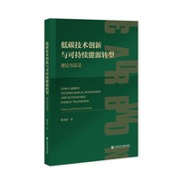 低碳技术创新与可持续能源转型:理论与实证