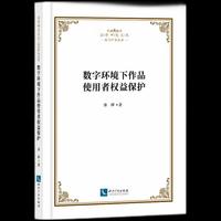 数字环境下作品使用者权益保护