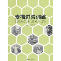 素描进阶训练