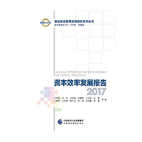 资本效率发展报告2017