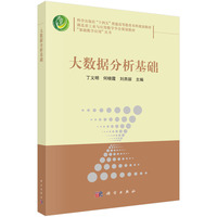 大数据分析基础9787030838148丁义明科学出版社