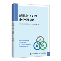 能源小分子的电化学转化