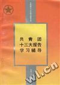 共青团十三大报告学习辅导