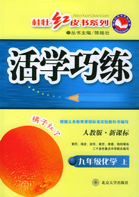 活学巧练：九年级化学上（人教版·新课标）——桂壮红皮书系列丛书