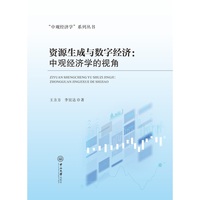 资源生成与数字经济:中观经济学的视角
