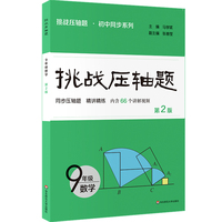挑战压轴题 九年级数学（第2版）