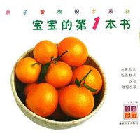 宝宝的第1本书(水果蔬菜饭菜糕点饮品鞋帽衣服)/亲子智能识字系列(亲子智能识字系列)