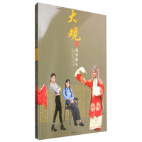 主题教学大观系列丛书大观速写照片