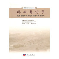 林西井沟子——晚期青铜时代墓地的发掘与综合研究