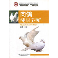 肉鸽健康养殖