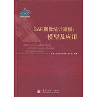 SAR图像统计建模:模型及应用