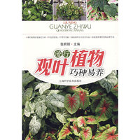 流行观叶植物巧种易养