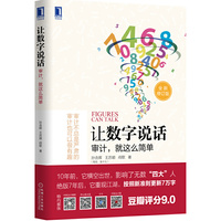 让数字说话-审计.就这么简单-全新修订版
