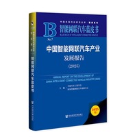 中国智能网联汽车产业发展报告(2025)