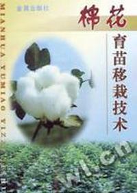 棉花育苗移栽技术
