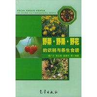 野菜·野果·野花的识别与养生食谱