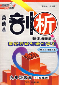 10春剖析九年级数学BS(北师)下