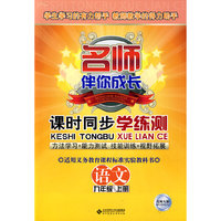 名师伴你成长·课时同步学练测：语文（九年级上册）（北师大版）