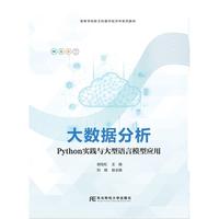 大数据分析：Python实践与大型语言模型应用