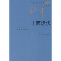 十面埋伏/中国当代作家张平系列