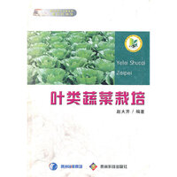叶类蔬菜栽培