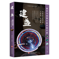 建盏鉴定与选购从新手到行家