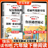 斗半匠快乐读书吧小学六年级下册鲁滨逊漂流记汤姆索亚历险记爱丽丝漫游奇境尼尔斯骑鹅旅行记课外阅读书（4册）