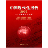 2009 中国现代化报告－文化现代化研究