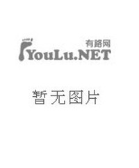 互联网软件应用与开发辅导与练习[2006年版]