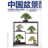 2013-5-中国盆景赏石