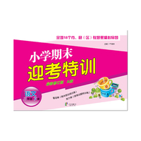 语文-三年级下册-R版-小学期末迎考特训-最新修订版