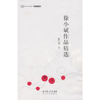 徐小斌作品精选