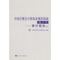 中国注册会计师执业规范指南.第5号,审计报告:试行