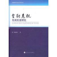 金融危机形成机理研究